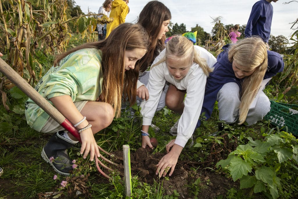 En dag med jord til bord