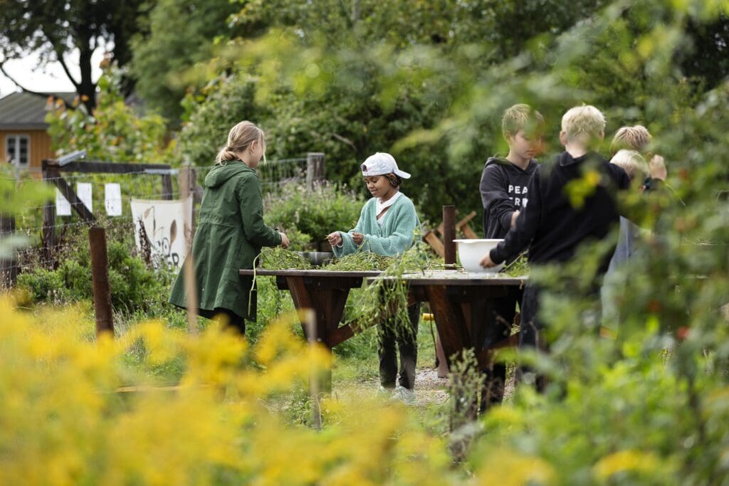 Grundforløb for skoler